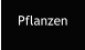 Pflanzen