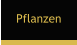 Pflanzen